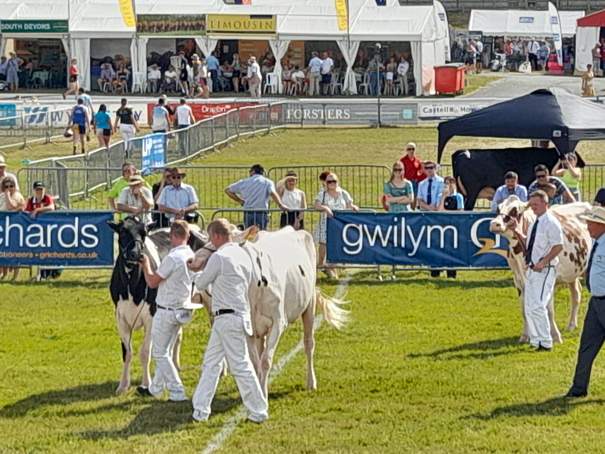 LesleyInnes3's tweet photo. I absolutely love the @royalwelshshow . It was hot, but it was brilliant, great to catch up with folk around the show and @colegcambria Llysfasi stand... https://t.co/3QIuDpRa9k