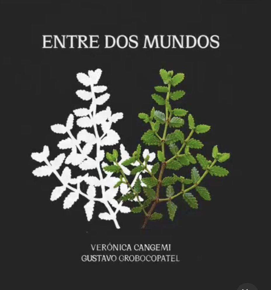 Con mi pareja <a href="/Gustavogrobo/">Gustavo Grobo</a> producto de pandemia  hicimos un disco de canciónes de cuyo .Entre dos mundos  !!! Como la música puede unir es maravilloso