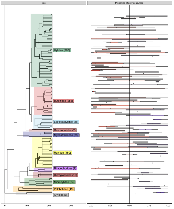 biobiiana's tweet image. Interesting meta-analysis led by @jstynoski, showing how relative unpalatability is an important component in how🐸#tadpoles defend from predators, and highlighting potential ontogenetic switches in anti-predator strategies rdcu.be/cR7Eg #HerpSci #TadpolesFTW