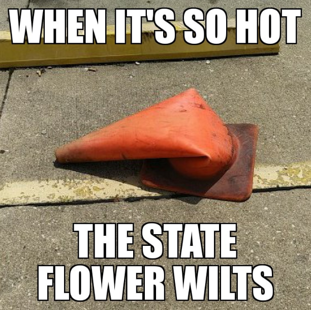 Yeah, it's gonna be hot today ⤵️