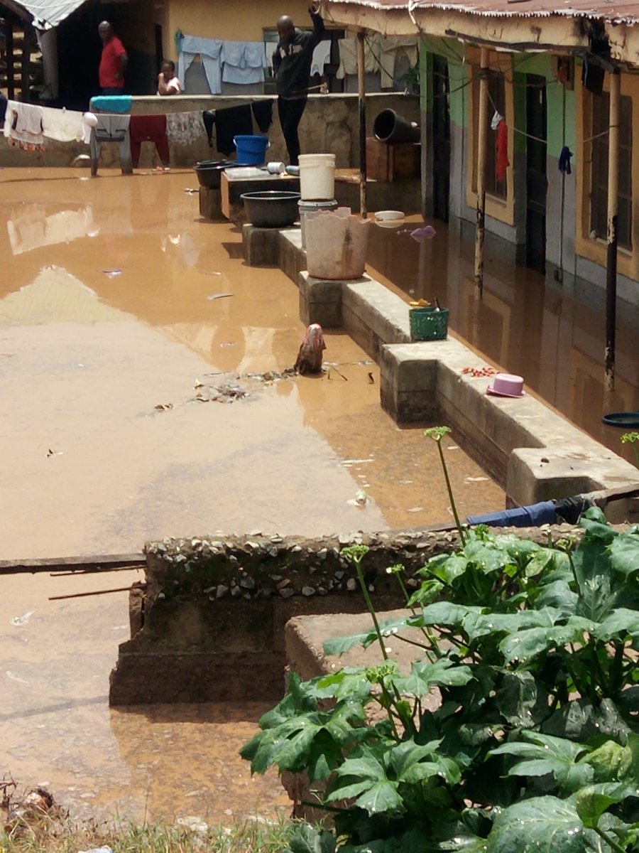 ICC_EPI's tweet image. #NatureBasedSolution is an approach that effectively commit affected nature dwellers to #Mitigate and #Adapt to the proffered principles of ending #ClimateBreakdown across the globe while involving the affected people in the design and implementation of #NBS actions.