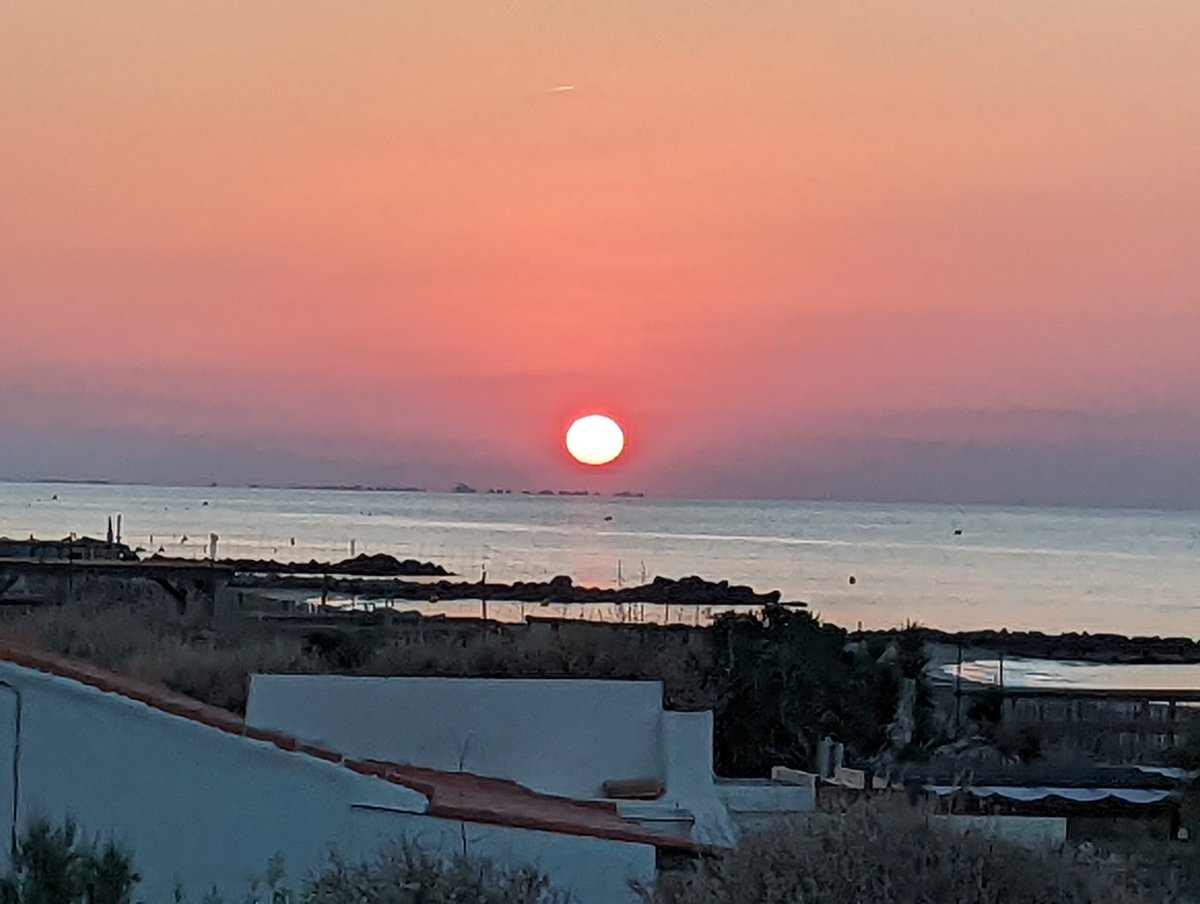 hmal1's tweet image. Belle journée 😉