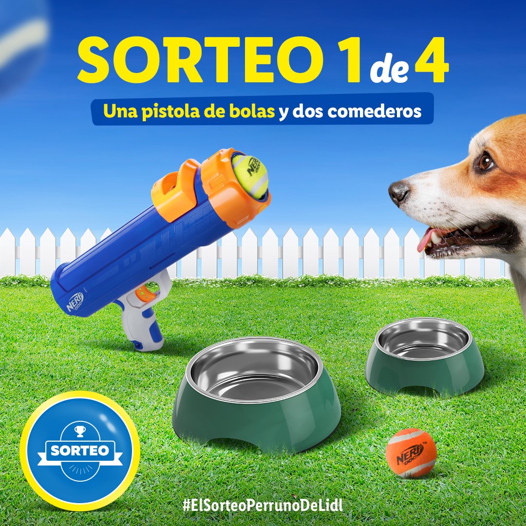 🐶 EMPEZAMOS CON EL PRIMER SORTEO 🐶

Para participar:

✅ Seguir <a href="/lidlespana/">Lidl España</a> 
🔄 RT
💬 Dinos cuál es el mejor nombre de perro que has oído usando el hashtag #SorteoPerrunoDeLidl

🐕 Siguiente sorteo a las 11:00h.