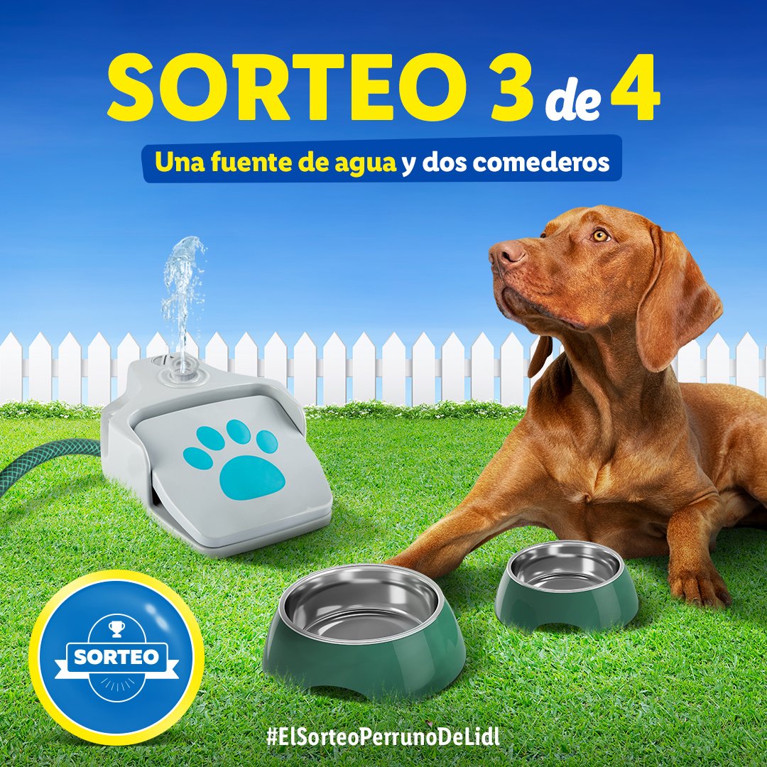 lidlespana's tweet photo. 🐶 SEGUIMOS CON EL TERCER SORTEO 🐶

Para participar:

✅ Seguir @lidlespana  
🔄 RT 
💬 Comparte el mejor gif perruno que encuentres y usa el hashtag #SorteoPerrunoDeLidl.

🐕 Siguiente sorteo a las 13:00h. https://t.co/cLiaKv95pe