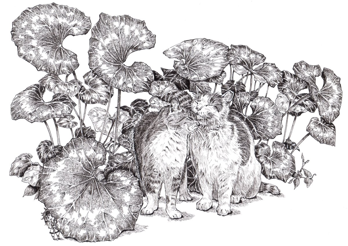 コロボックル のイラスト マンガ作品 22 件 Twoucan