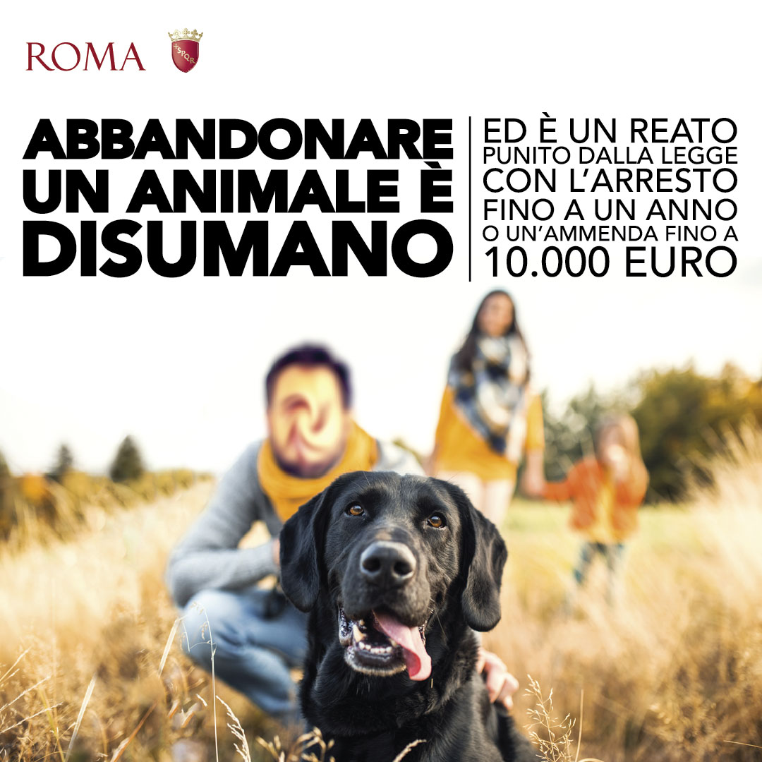 Roma's tweet photo. 🐶🐱 Abbandonare un animale domestico prevede l’arresto fino ad un anno o una multa fino a 10.000 euro.
Se trovi un animale abbandonato chiama la sala operativa della Polizia locale di Roma Capitale allo 0667691 oppure il numero unico per le emergenze 112 https://t.co/pe4uVkLfgm