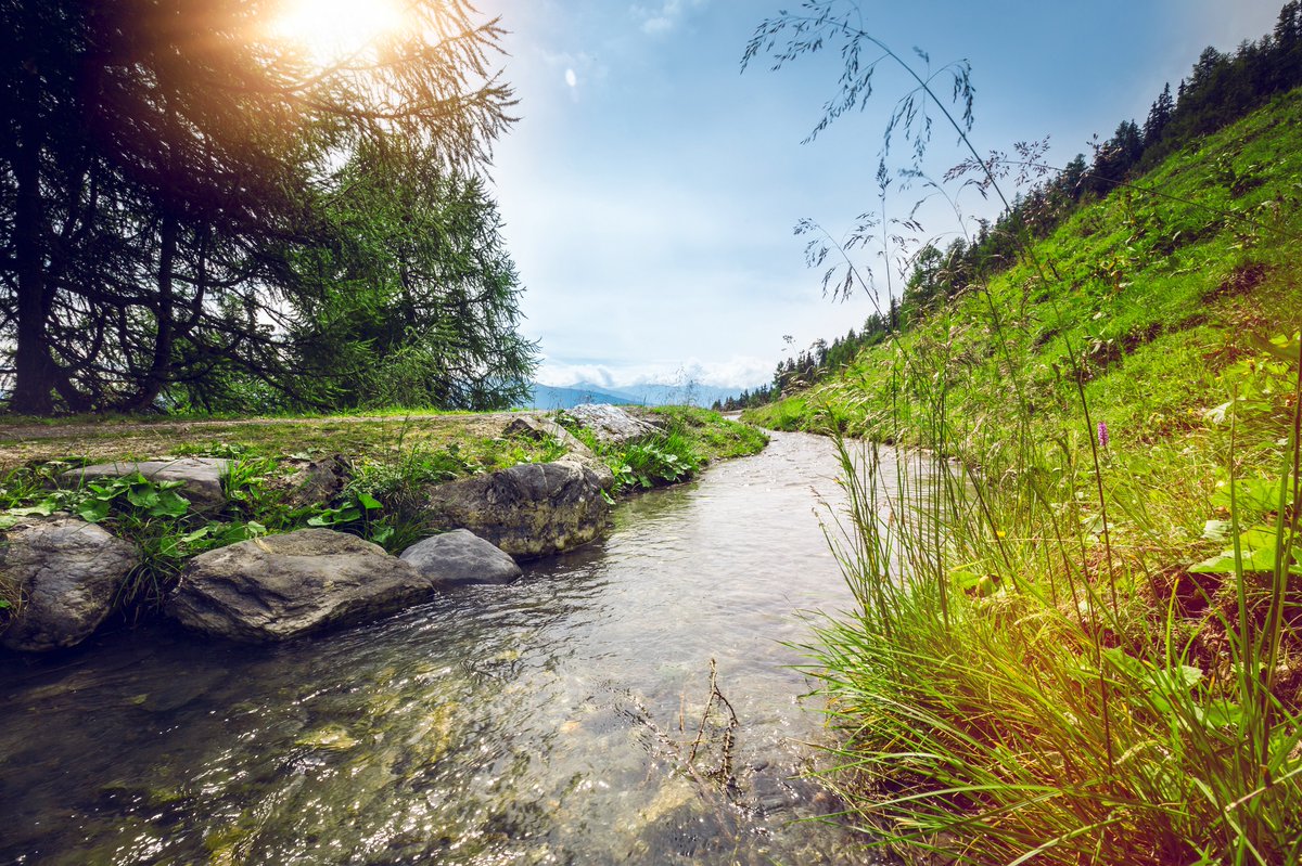 valaiswallis's tweet photo. Erlebt ein Stück Walliser Geschichte indem ihr entlang der #Suonen wandert ! Diese historischen #Bewässerungskanäle des @valaiswallis befördern das kostbare #Wasser der Gletscher in die Weiden, Weinberge und Obstgärten: https://t.co/54uHv24vEu https://t.co/8jI36sdV6r