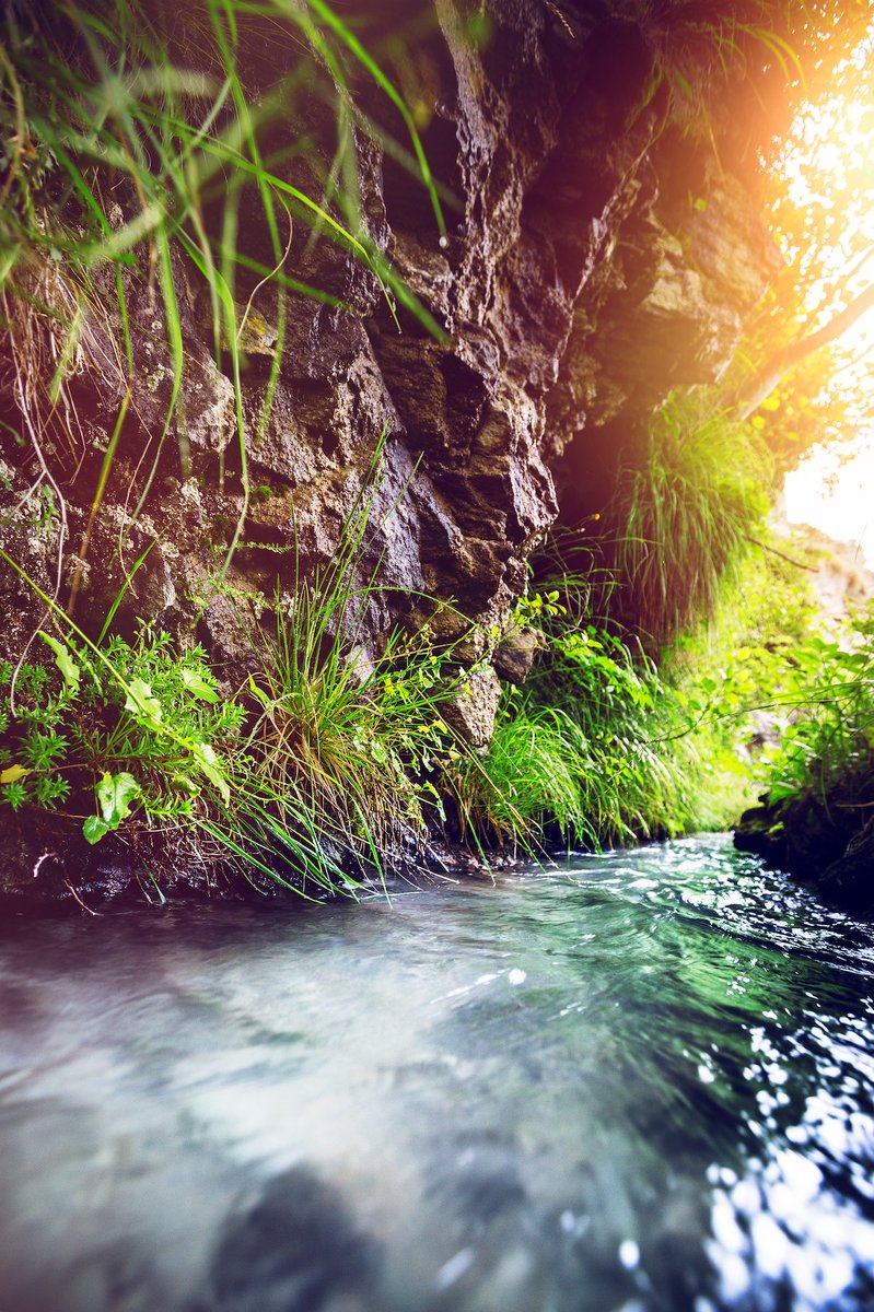 valaiswallis's tweet photo. Erlebt ein Stück Walliser Geschichte indem ihr entlang der #Suonen wandert ! Diese historischen #Bewässerungskanäle des @valaiswallis befördern das kostbare #Wasser der Gletscher in die Weiden, Weinberge und Obstgärten: https://t.co/54uHv24vEu https://t.co/8jI36sdV6r