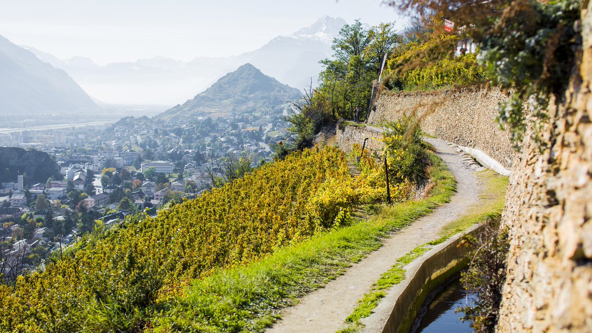 valaiswallis's tweet photo. Erlebt ein Stück Walliser Geschichte indem ihr entlang der #Suonen wandert ! Diese historischen #Bewässerungskanäle des @valaiswallis befördern das kostbare #Wasser der Gletscher in die Weiden, Weinberge und Obstgärten: https://t.co/54uHv24vEu https://t.co/8jI36sdV6r
