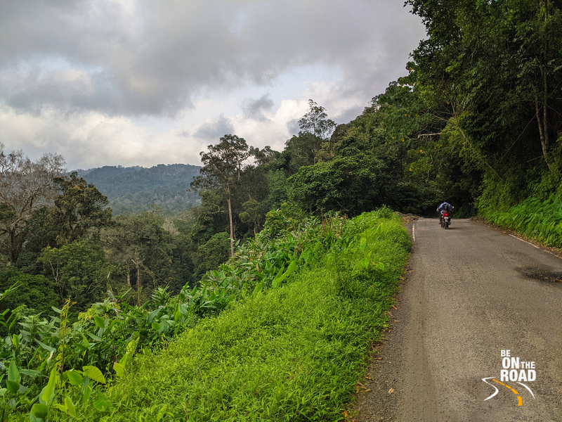 Looking 4 a destination 4 ur next #RoadTrip? How abt 1 of India's pristine #RainforestHighways n a top tropical #MotorcycleRoute in India?
#WildlifeHolidays #AdventureTravel #MonsoonHolidays #VazhachalForest #Valparai #Kerala #TamilNadu #IncredibleIndia 

bit.ly/VazhachalRainf…