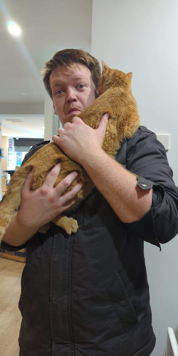 Josh_mark_white's tweet photo. When you go to a #catcafe and the cats actually come to you. https://t.co/E5i32JBiSd