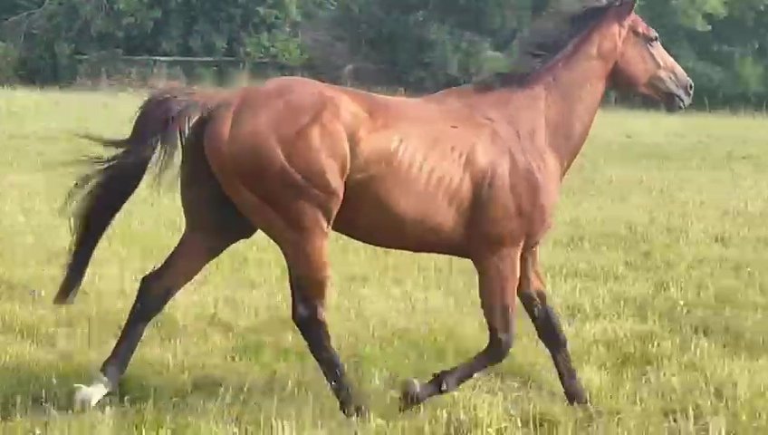 LorusProjects's tweet image. Counting the days now...... no not for Goodwood nor Galway but swapping Kildare for the African version called Kenya. Once in a lifetime holiday to Kenya with my family 3 years later than planned. Miss ya Paddys! 20 more sleeps!