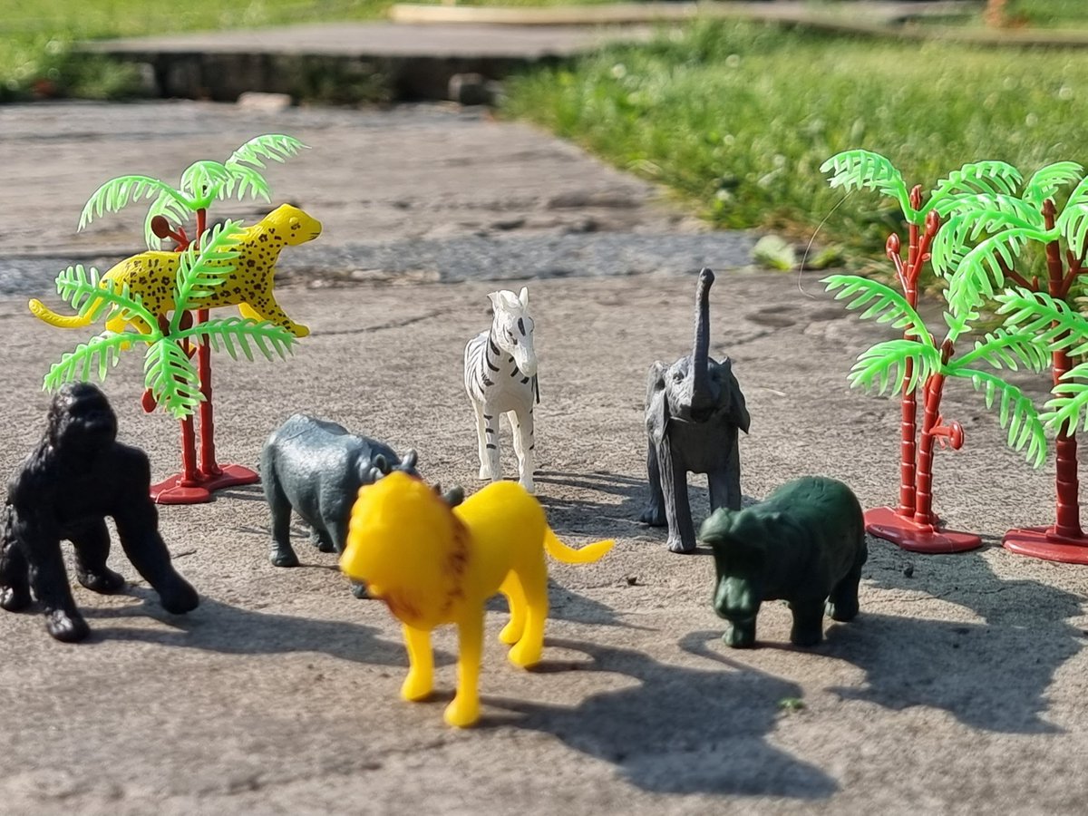 LorusProjects's tweet image. Counting the days now...... no not for Goodwood nor Galway but swapping Kildare for the African version called Kenya. Once in a lifetime holiday to Kenya with my family 3 years later than planned. Miss ya Paddys! 20 more sleeps!