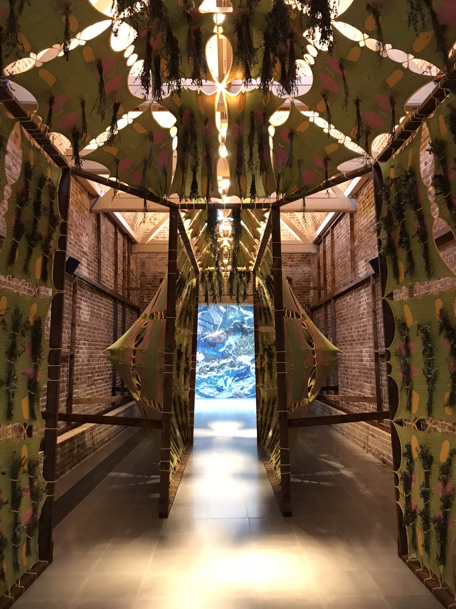 Danielle Ash tweet media