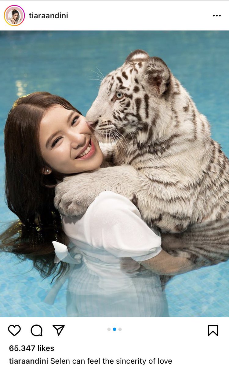 agungmrheza's tweet photo. Padahal saya ngefans banget sama Tiara ☹️

Wildlife animals should live in the wild, no? https://t.co/jAb5BvIxhv