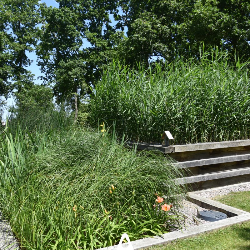 Aquatiris tweet media