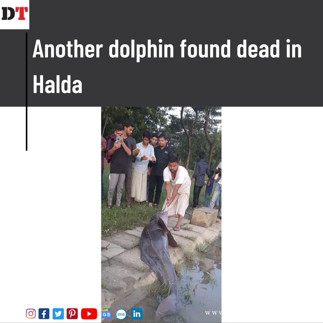 DhakaTribune's tweet photo. The body of a dead dolphin, the second death reported in less than six days, was rescued from the Azimer Ghat area of West Gujra Union of Chittagong’s Raozan upazila on Wednesday.

Read more 👇
 
https://t.co/4dtbmKcYBz

#HaldaRiver #dolphins #DeadDolphin https://t.co/KOdgDMK6bV