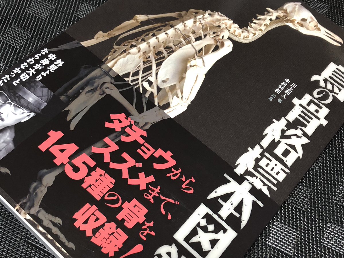 李朝染め付け牡丹文様小丸壺/分院窯-