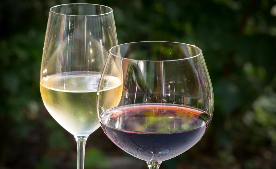 allafrica's tweet photo. Rwandan University Graduates on a Mission to Make Wine From Coffee @NewTimesRwanda: https://t.co/EhwGZyt1Ql #Rwanda https://t.co/lKUDmOBpOJ