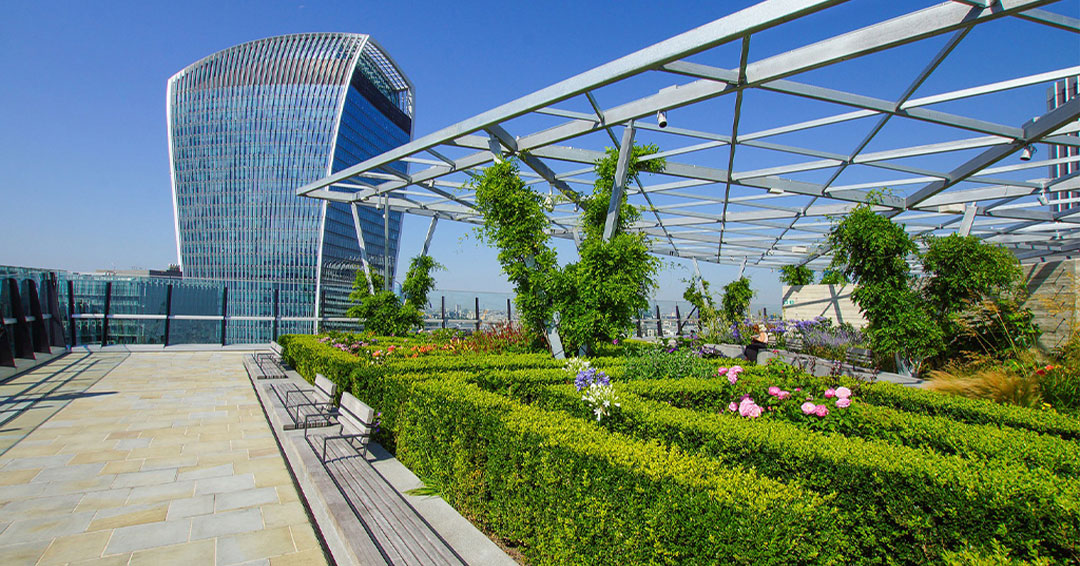 Discover London's free public rooftop gardens to visit this summer.

wondersoflondon.com/6-best-free-vi…

#rooftopgarden #londonfinds #gardenat120