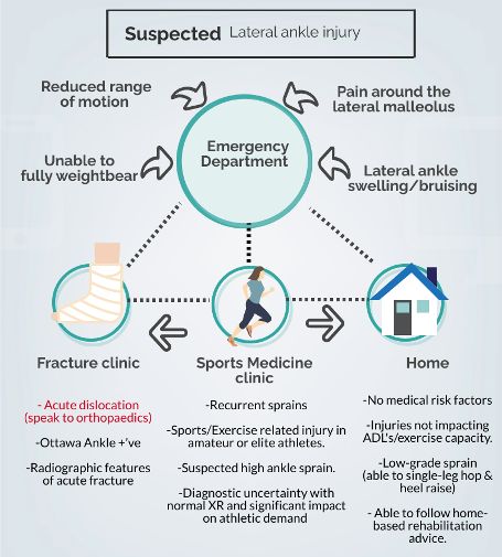 British Journal of Sports Medicine (BJSM) tweet media