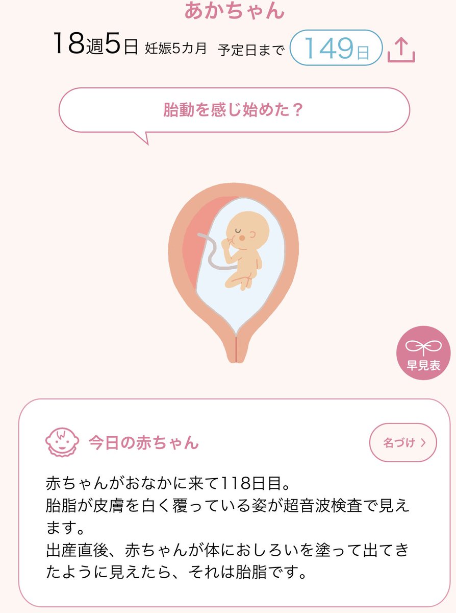 Orchid72607's tweet photo. 実は2人目を妊娠しました😊
現在18週、今日の妊婦健診で性別も判明！
女の子です👶❣️ https://t.co/VqeQFPA353