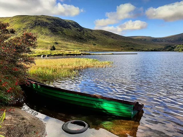 choosesligo tweet media