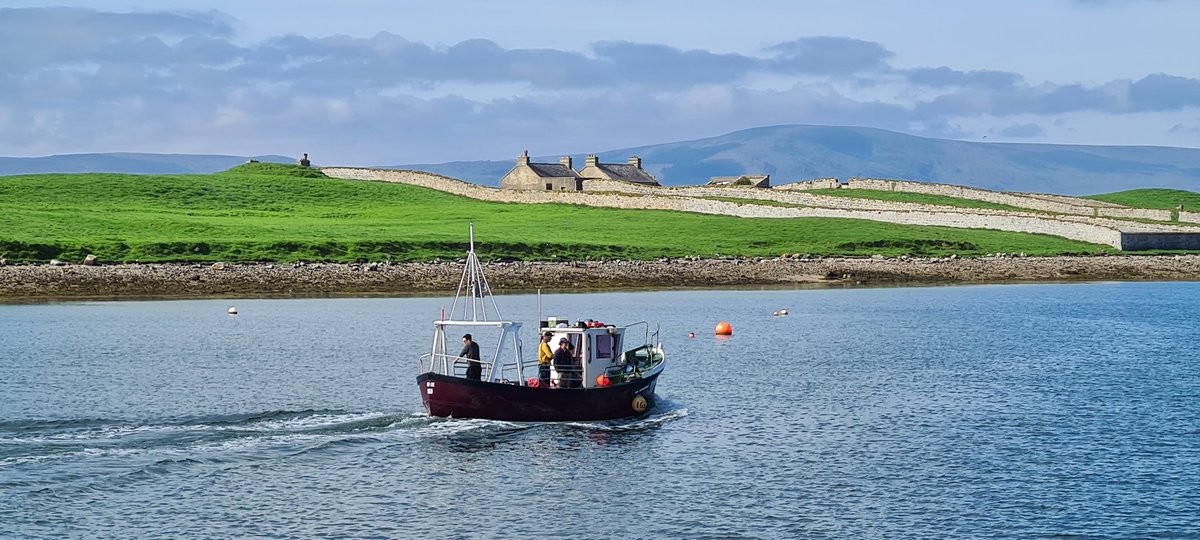 choosesligo tweet media