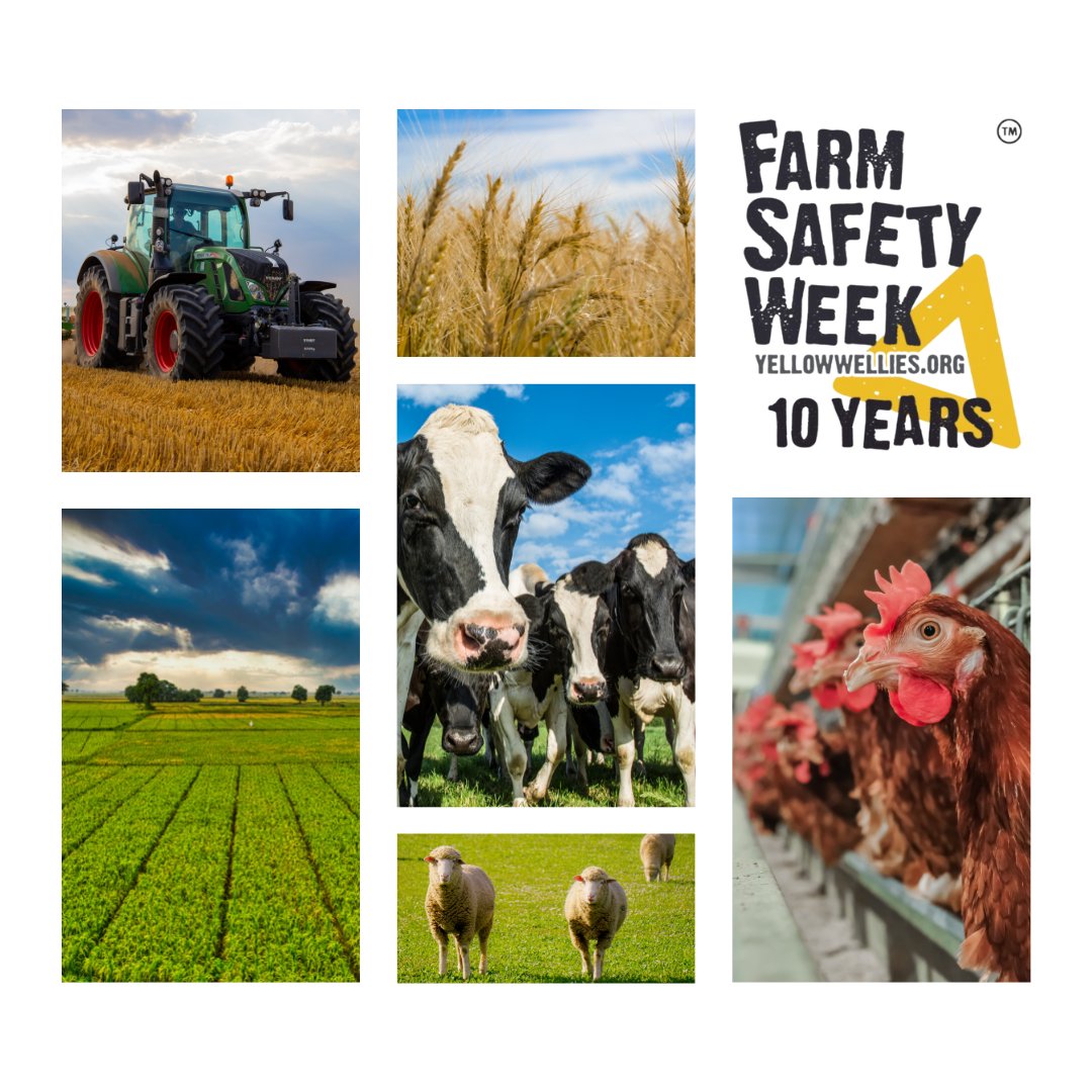 Lodi_UK's tweet photo. If you didn't already know the importance of Farm Safety Week, read these statistics:

- Farming death rate is 21x higher out of 100,000 than any other industry

- Last year, 22 farm workers died

- A 9 year old child died

- 40% deaths were over 65 years old

#FarmSafetyWeek https://t.co/z4CuIY5Q2V