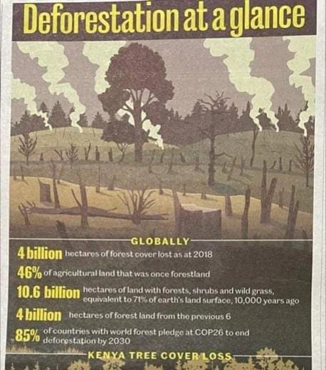 _AfricanForest's tweet photo. Let's get together and replace and grow hectares of trees. We have the expertise and land.  We just need your support. https://t.co/nrZk20WEov 
Info@african-forest.net 
07227 68888
#beplanetpositive #nature #trees #leaveyourmark #environment https://t.co/uVbttz3uJy