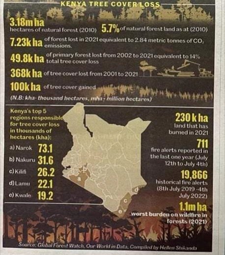_AfricanForest's tweet photo. Let's get together and replace and grow hectares of trees. We have the expertise and land.  We just need your support. https://t.co/nrZk20WEov 
Info@african-forest.net 
07227 68888
#beplanetpositive #nature #trees #leaveyourmark #environment https://t.co/uVbttz3uJy