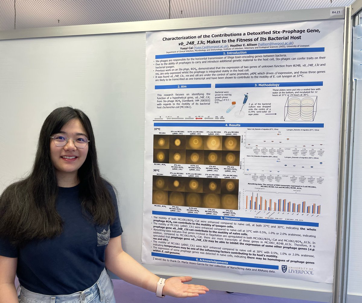 Yueyi Cai (@wuzeichuan) on Twitter photo We know stx-phages give E. coli the ability to produce shiga toxin (STEC). But other than killing the host and releasing toxin, how would a stx prophage effect it’s host? Find our (<a href="/Hallison67/">Professor Heather Allison</a> & <a href="/wuzeichuan/">Yueyi Cai</a>) work for one of the answers to the question at #VoM2022 Poster Room 4. We know stx-phages give E. coli the ability to produce shiga toxin (STEC). But other than killing the host and releasing toxin, how would a stx prophage effect it’s host? Find our (<a href="/Hallison67/">Professor Heather Allison</a> & <a href="/wuzeichuan/">Yueyi Cai</a>) work for one of the answers to the question at #VoM2022 Poster Room 4.