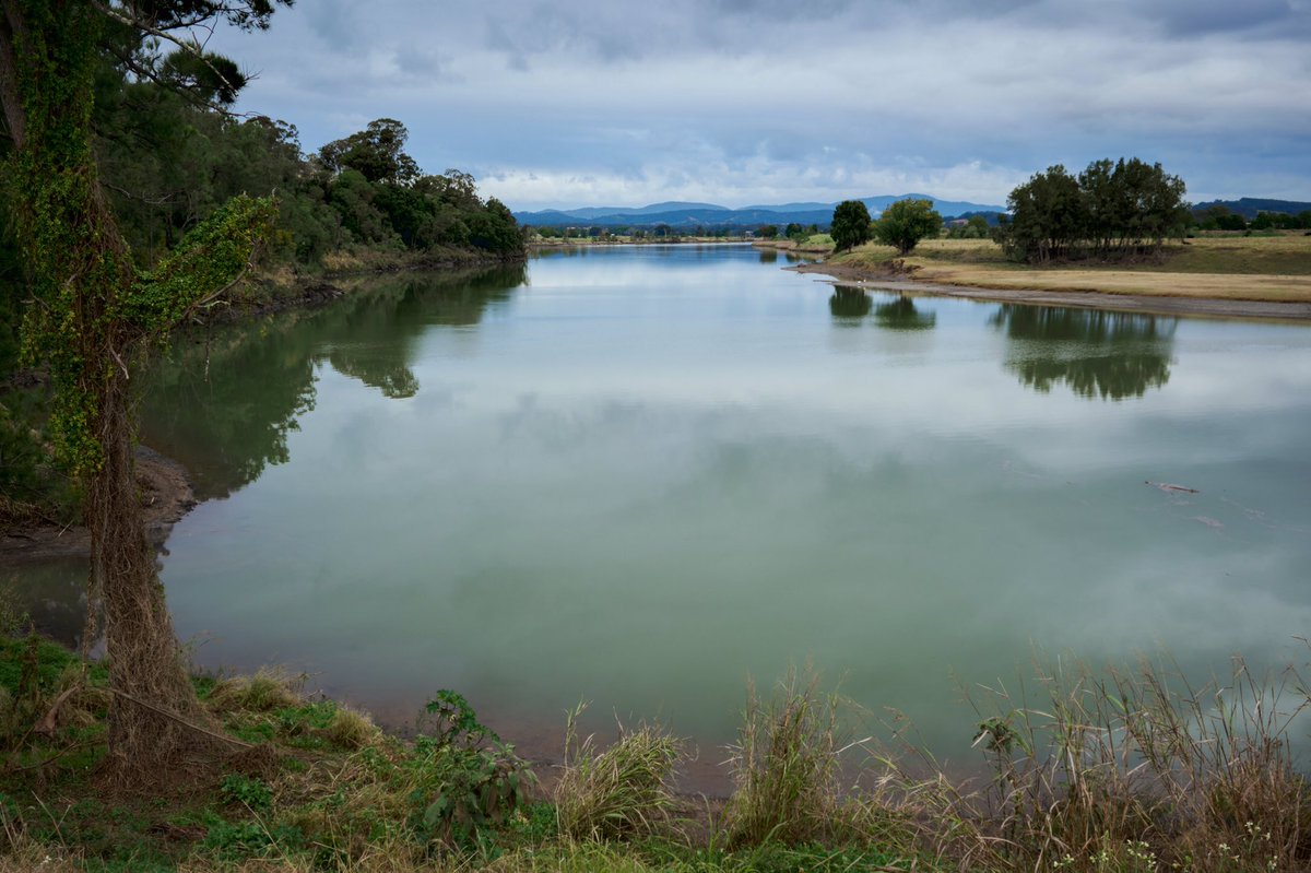 AndyTychon's tweet photo. The Mighty Manning
#river #rivers #landscape #landscapephotography #nature #Australia #manning #taree #Photos #PhotoOfTheDay #photo #photographer #scenery #photograph #photographyislife #PhotographyIsArt #moody https://t.co/aYAKwstlCM