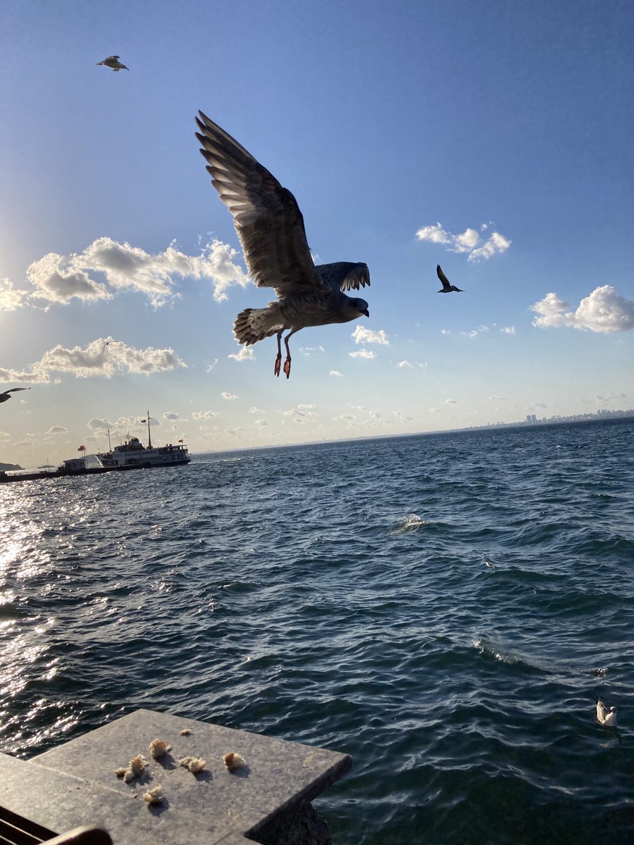 Seni yerden göğe sevmişim kuş misali;
Dünyanın bir ucunda, diğer ucuna 
İkimiz de mavi,
İkimiz de dünya, 
İkimiz de deniz ve gökyüzü.
Azad Özgür