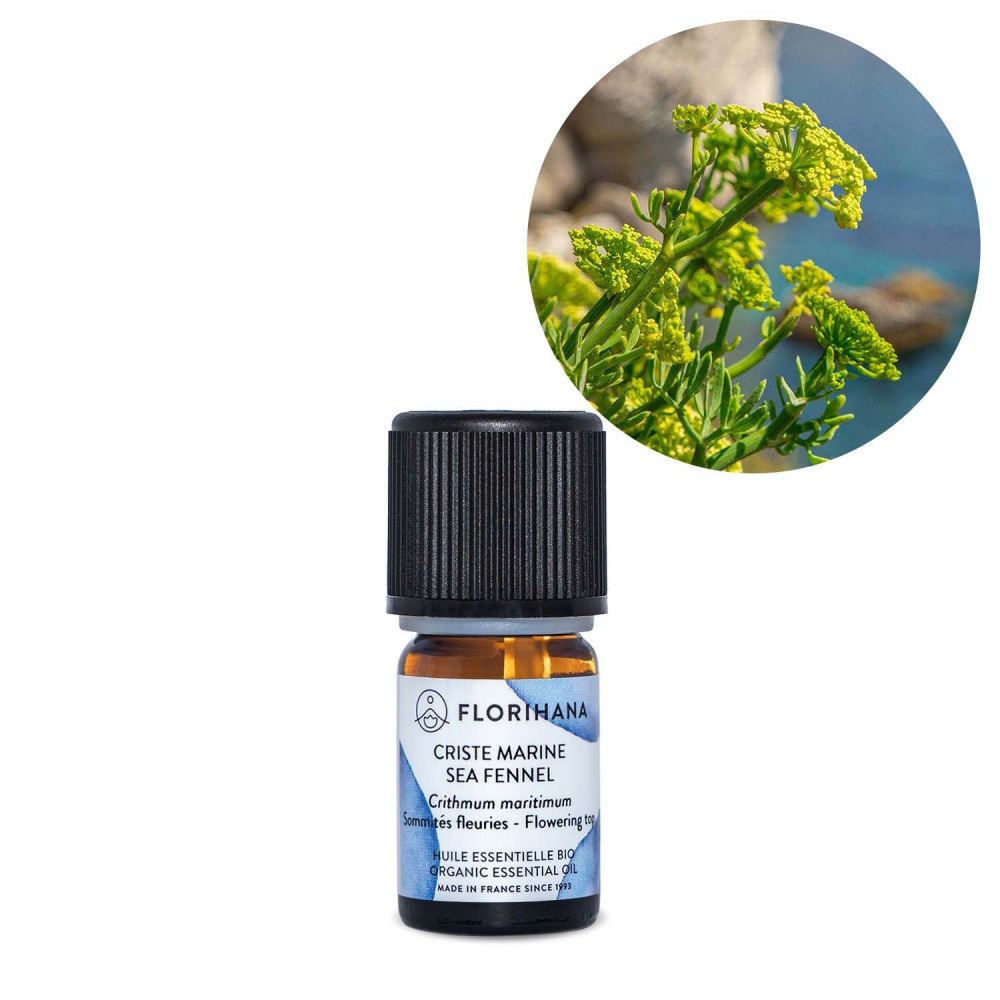 フロリハナ Florihana Jp Twitter