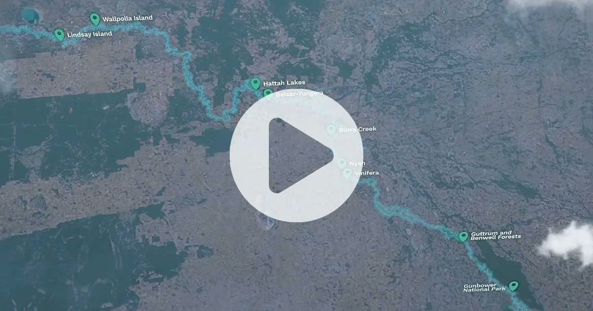 VMFRP (Vic Murray Floodplain Restoration Project) tweet media