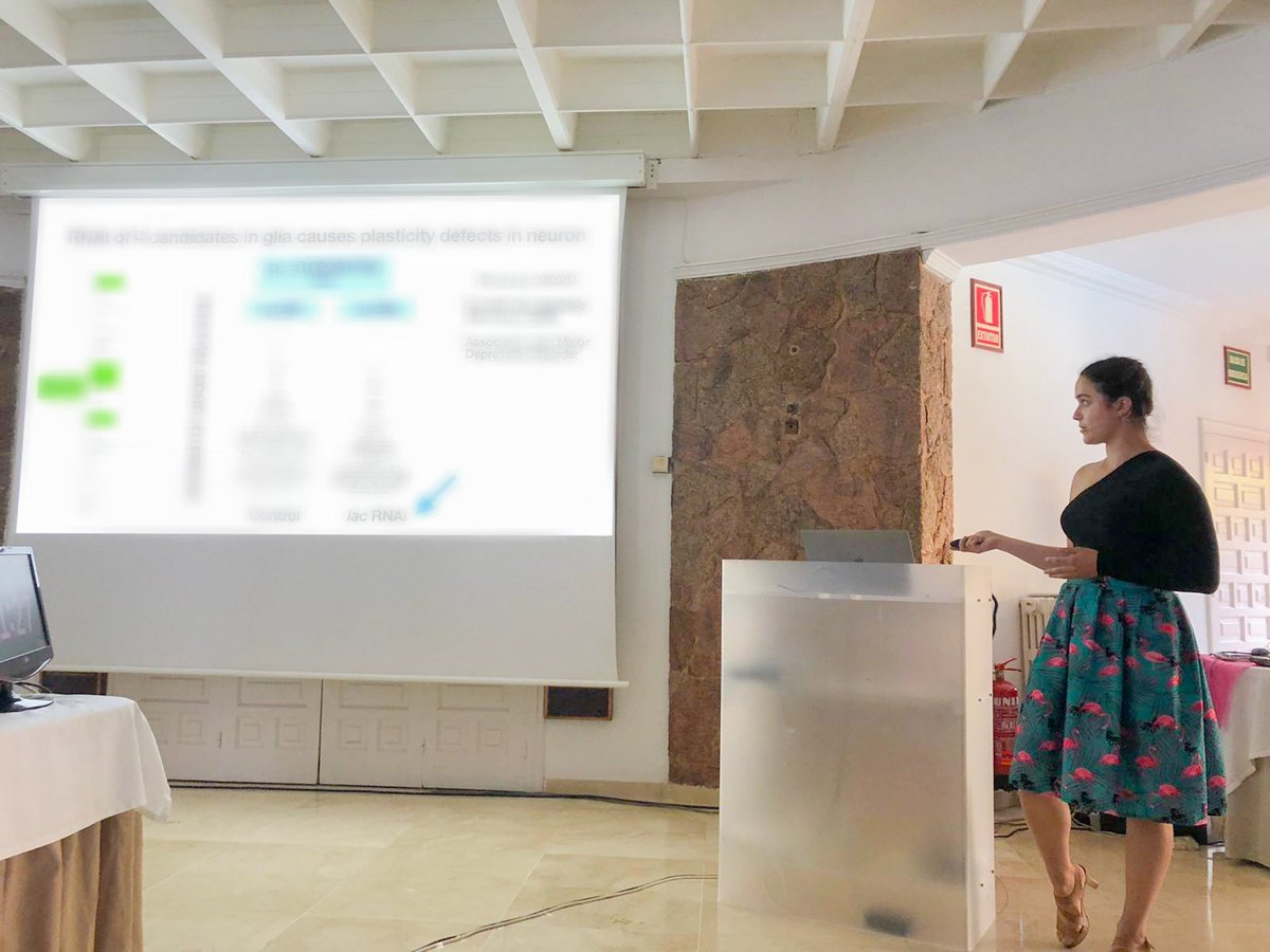 dalia_science's tweet image. What a pleasure to present my 1st ever conference talk on mRNA localization in glia at @EMBOevents #EMBOrnaLocalization! This work is based on our preprint in @ilandavislab (biorxiv.org/content/10.110…). Thank you @kiourlappou for the pic and @ilandavis @Teodoro_Lab for mentoring🧬