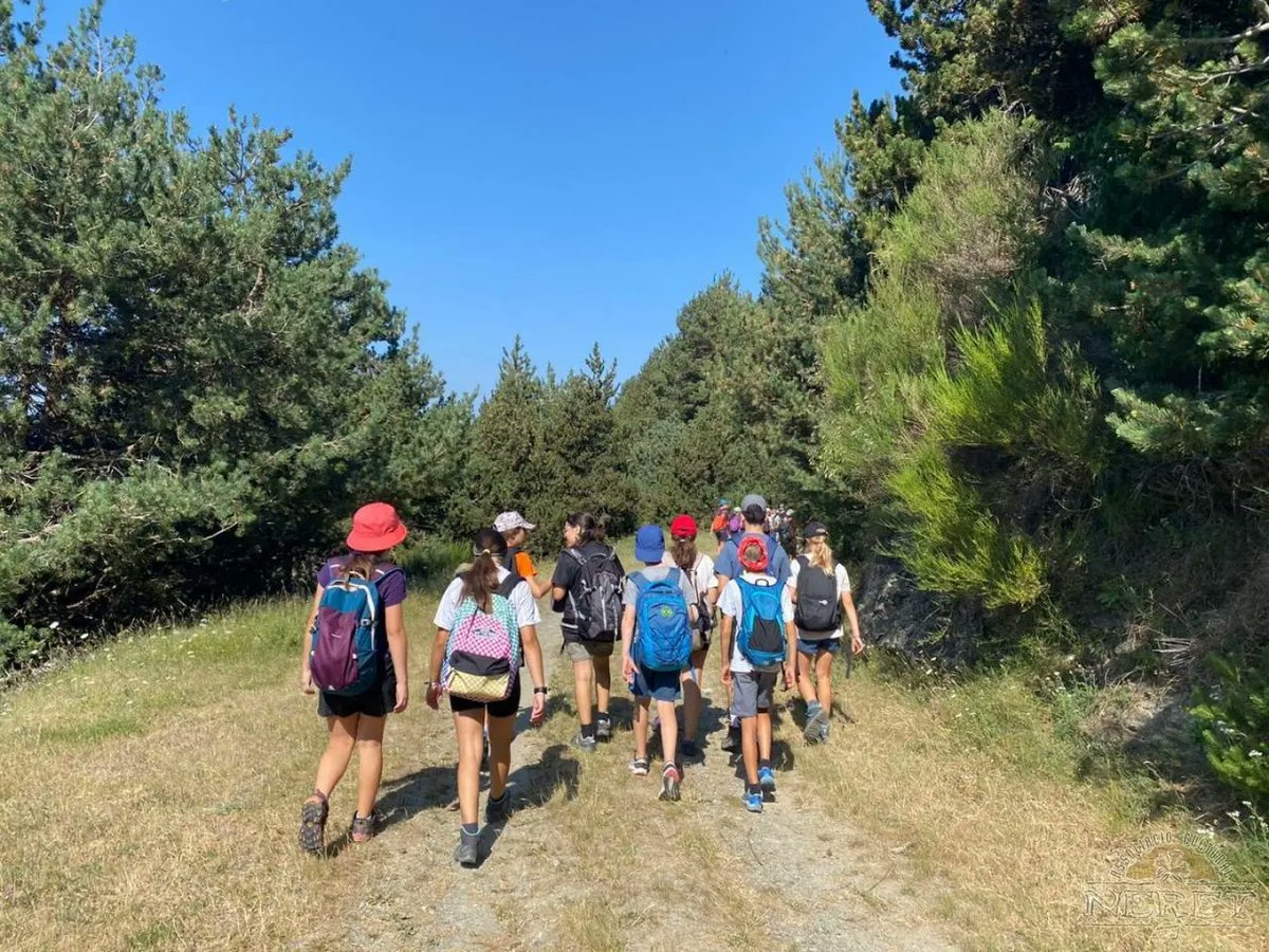 Associació Cultural Neret tweet media