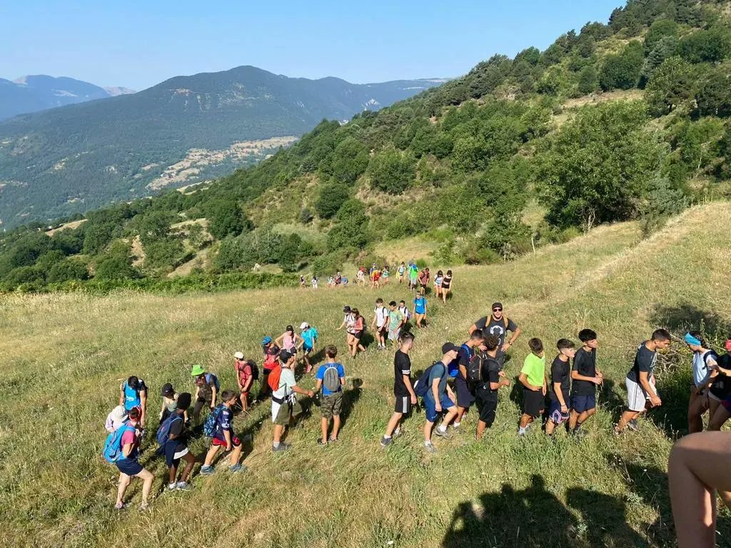 Associació Cultural Neret tweet media