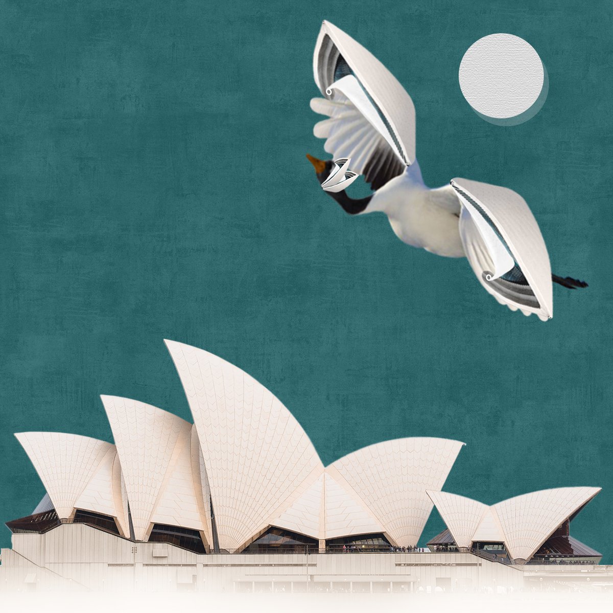 SherryFarya's tweet photo. New BIR-CHI🥳🥳🥳

"BIR-CHI the Sydney Opera House" is now added to the BIR-CHI treasure😍😍🔥

The bird chose the Sydney Opera House to be included in the BIR-CHI treasure while visiting #Australia⛴️

#KatoOGgo #Benjaminbitcoin #etherstulist #unknown4artists #arttoad #artshare https://t.co/YOcWegqvOZ