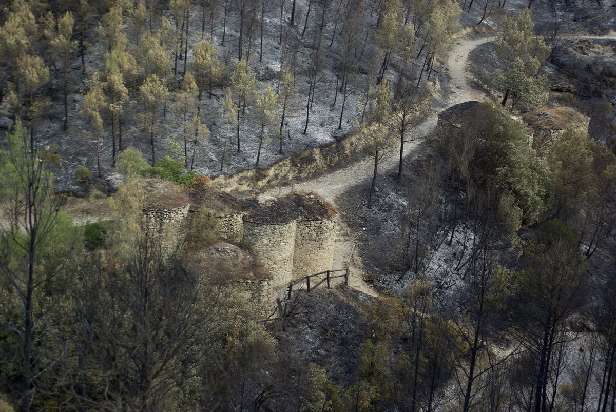 🔥Les tines de la Vall del Flequer després de l'incendi

El bosc cremat deixa entreveure les feixes de pedra seca d'una zona que abans era vinya

A l'incendi de 1985 es van redescobrir les tines intactes. Ara, el Parc Natural de Sant Llorenç del Munt i l'Obac les torna a reviure
