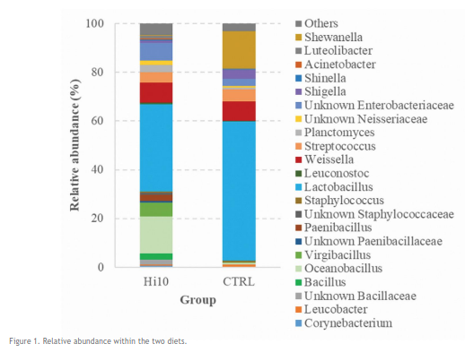"Black soldier fly improves the health status of rainbow trout increasing their high gut microbial richness" issuu.com/aquafeed.com/d…
