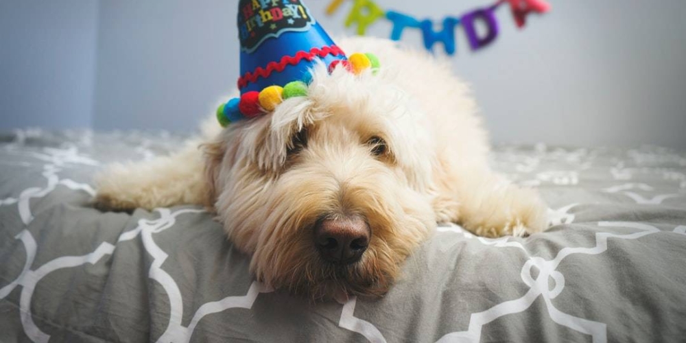 Like and share if you think it`s fantastic!