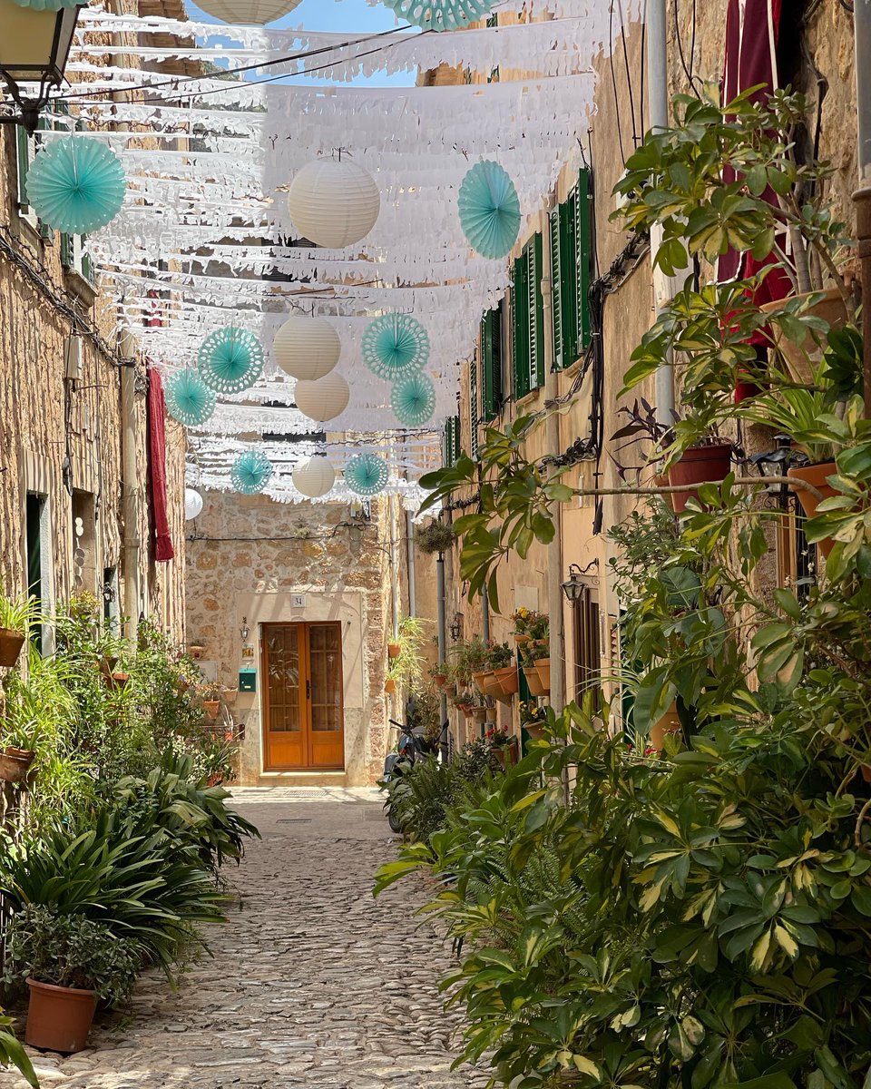 VisitValldemoss's tweet image. 🔸 "Mitjan Juliol, quan crema es sol,
arriba "La Beata",
vénen ses festes,
i tirarem sa casa per sa finestra." 🎉

¡Muchas gracias @violetaochea por esta hermosa foto 😍📸!

We are heritage, we are culture! 🍀

#visitvalldemossa #valldemossa