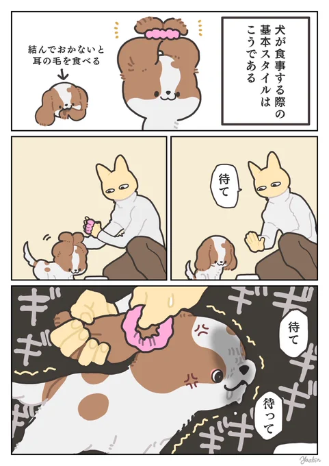 犬日記 待てない 