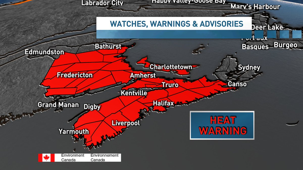 Tina Simpkin tweet media