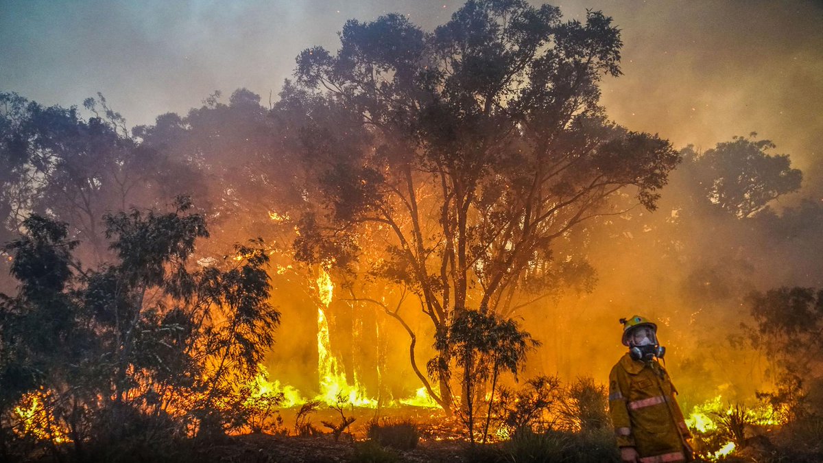 Perowinger94's tweet photo. "Windräder zerstören den Wald" sagten sie... 
#Waldbrand https://t.co/0QOfWt1Ymq