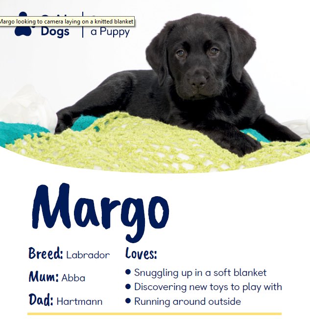 Thank you to everyone who bought ice pops this year.  We raised an amazing £280 and have used the money to sponsor Rupert and Margo <a href="/guidedogs/">Guide Dogs</a> We look forward to bringing you pupdates on their journey to being #guidedogs 🐾