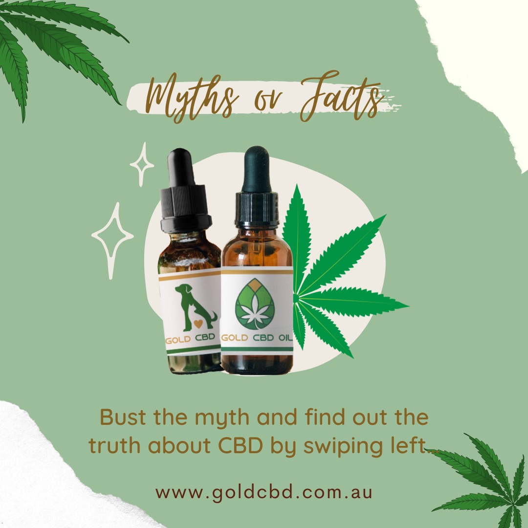 GoldCBDOil's tweet photo. Controversy has surrounded CBD for decades. With that came misinformation which developed into popular myths. On this post series, let’s separate the myths from the facts. ✨🌱

#cbdfact #cbdmyth #cbdau #cbdhelp #cbdforlife #goldcbdoil #australiacbd #happyfriday https://t.co/HiBND7wUJz