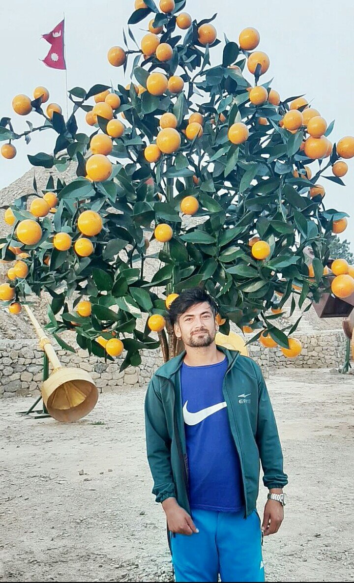 Santosh_Dev2022's tweet image. कलाघर सिन्धुली को एक कला , कृत्रिम जुनार को बोट फल सहित
